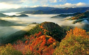 色づく紅葉、雲間に浮かぶ　滋賀・小入谷　
